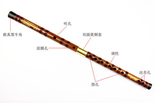 笛的各部分构造
